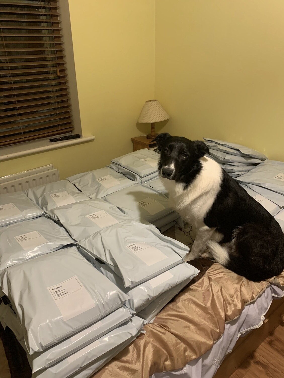 Thor unhappy that his bed was repurposed